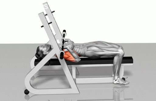 Bench press