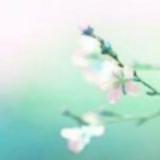 静沐暖阳_55669