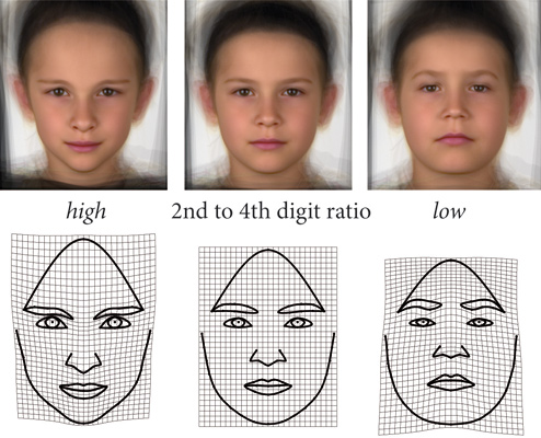 食指越短，男人越man？